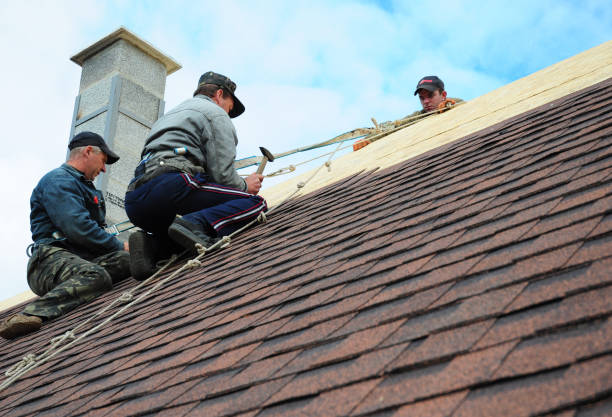 Roof Waterproofing Services in Hamburg, AR