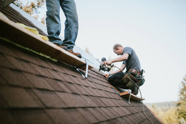 Best Residential Roof Replacement  in Hamburg, AR